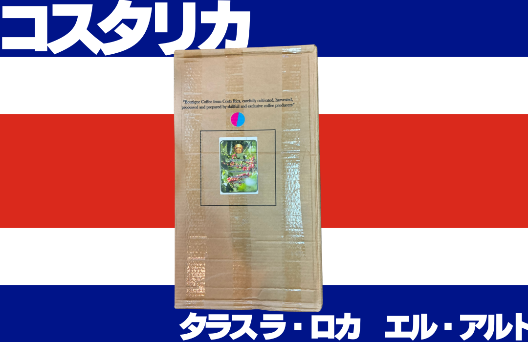 コスタリカ タラス ラ・ロカ エル・アルト