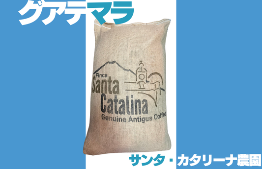 グアテマラ サンタ・カタリーナ農園 中煎り コーヒー豆 麻袋
