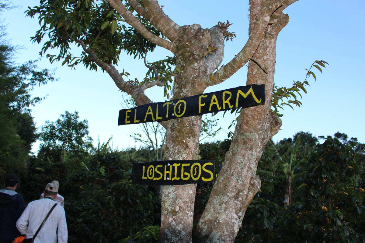 コスタリカ　タラス　ラ・ロカ　エル・アルト