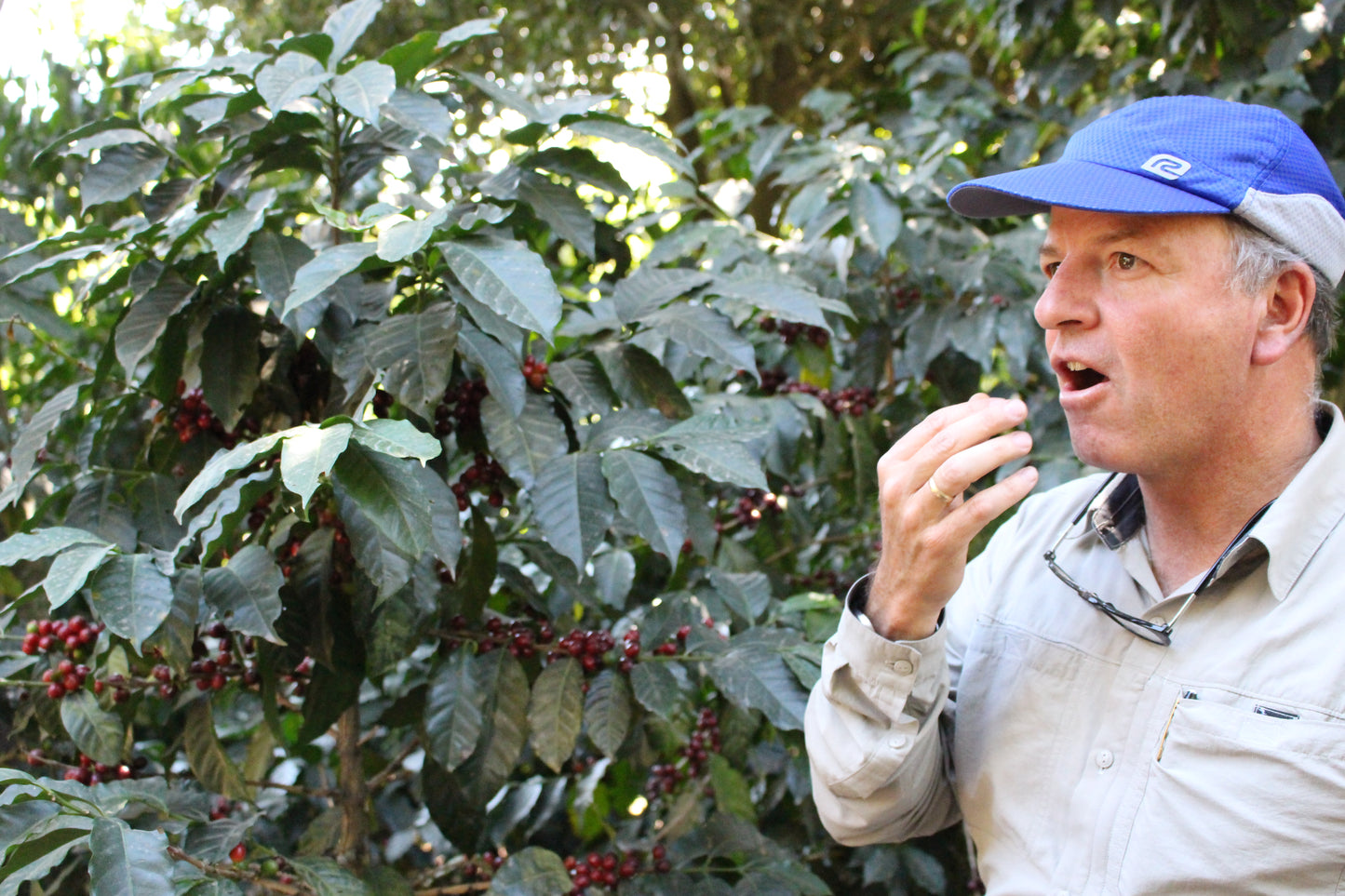 グアテマラ　サンタ・カタリーナ農園