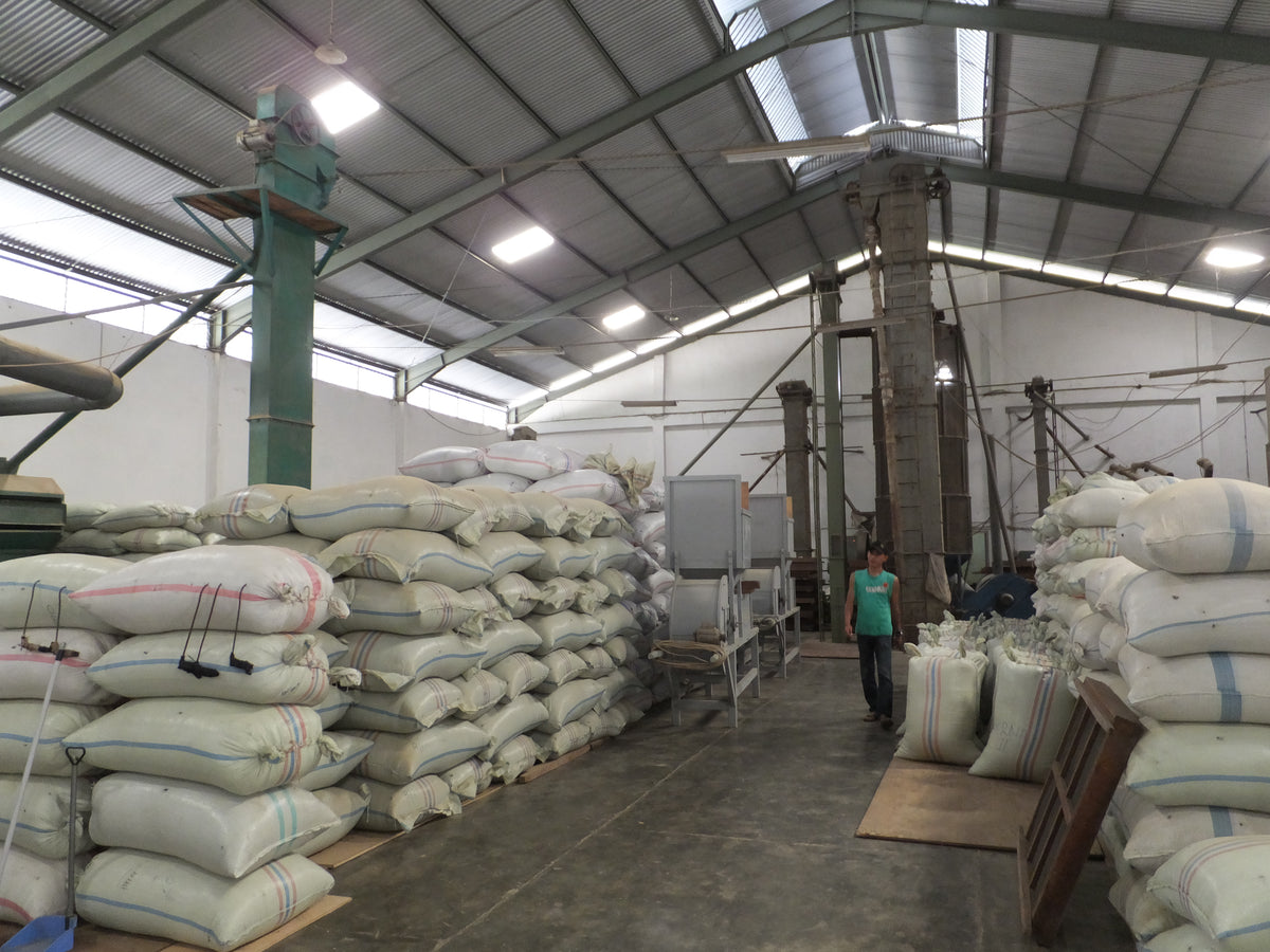 インドネシア　マンデリン　オナンガンジャン