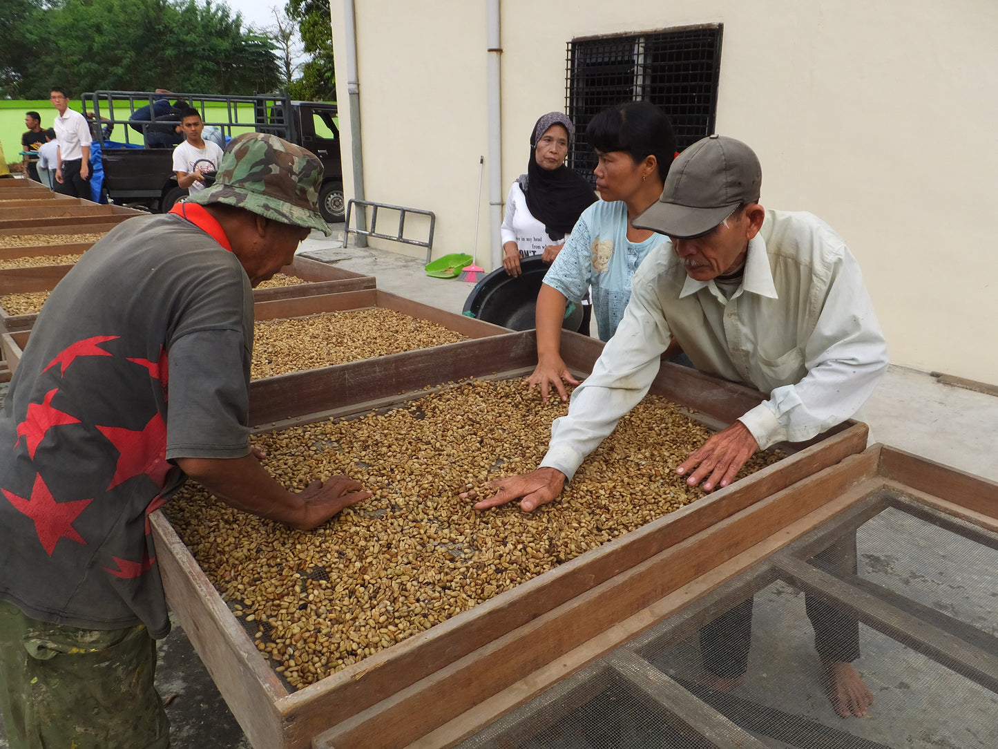 インドネシア　マンデリン　オナンガンジャン
