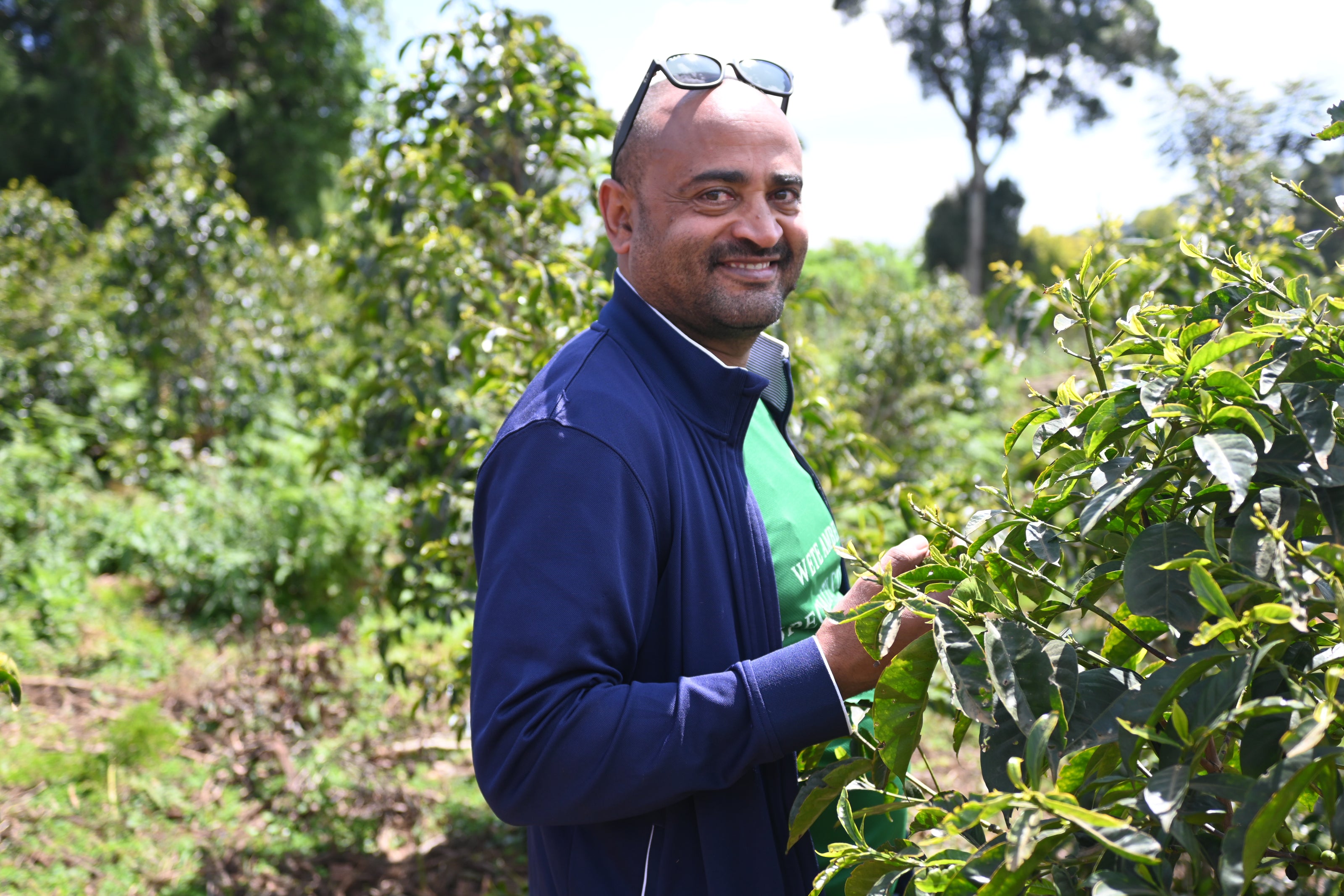 エチオピア　グジ　ハンベラ　ゴロ・ベデッサ　ドライングステーションオーナー