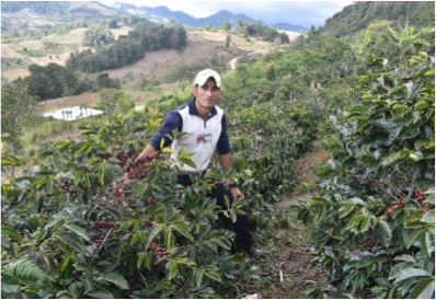 ホンジュラス　ラス・クレマス・デ・サンセバスティアン　生産者さん１