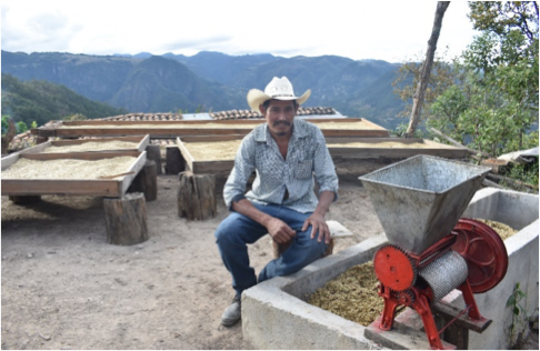 ホンジュラス　ラス・クレマス・デ・サンセバスティアン　生産者さん2