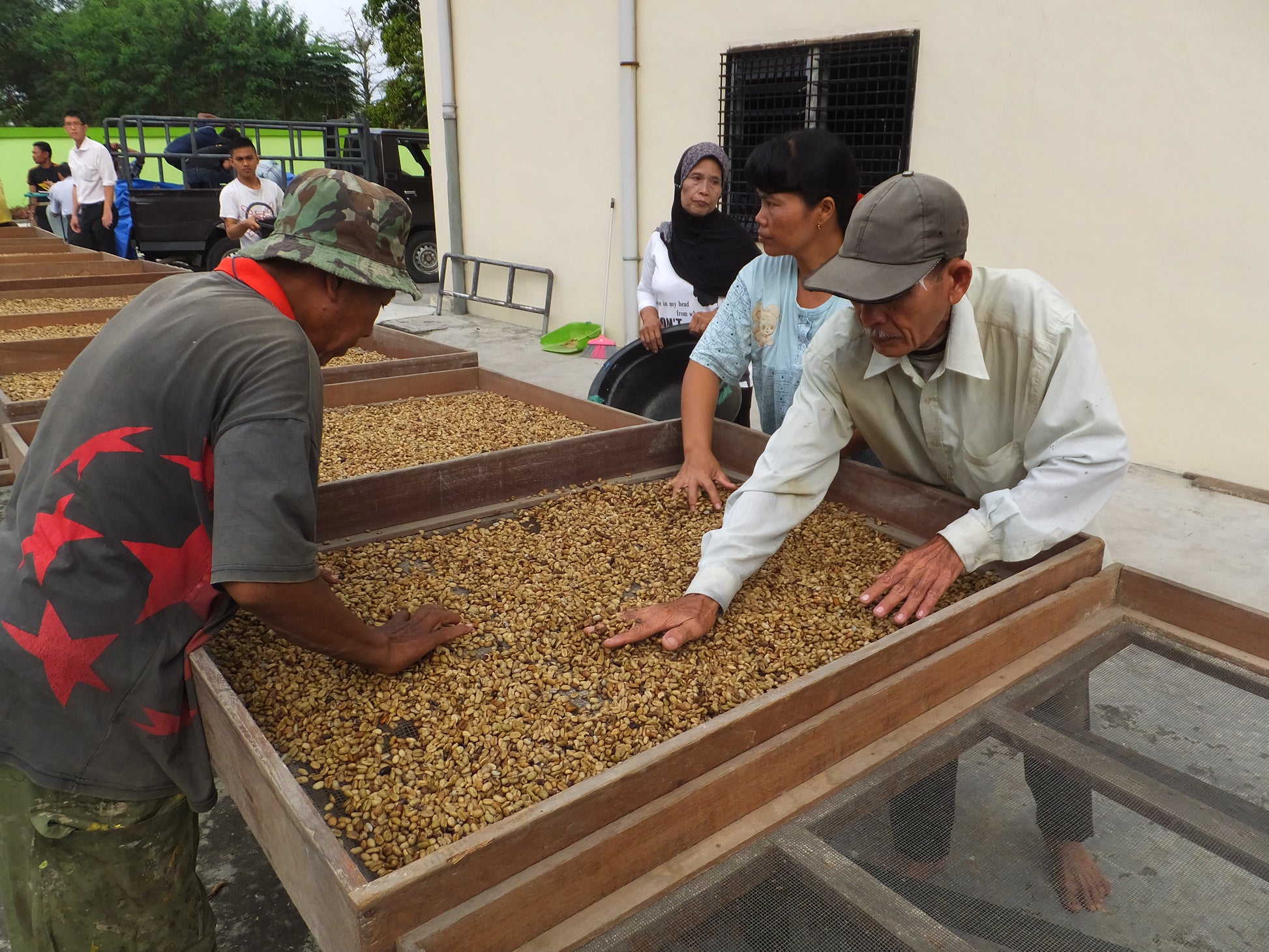 インドネシア　オナンガンジャン　マンデリン　深煎り　作業場