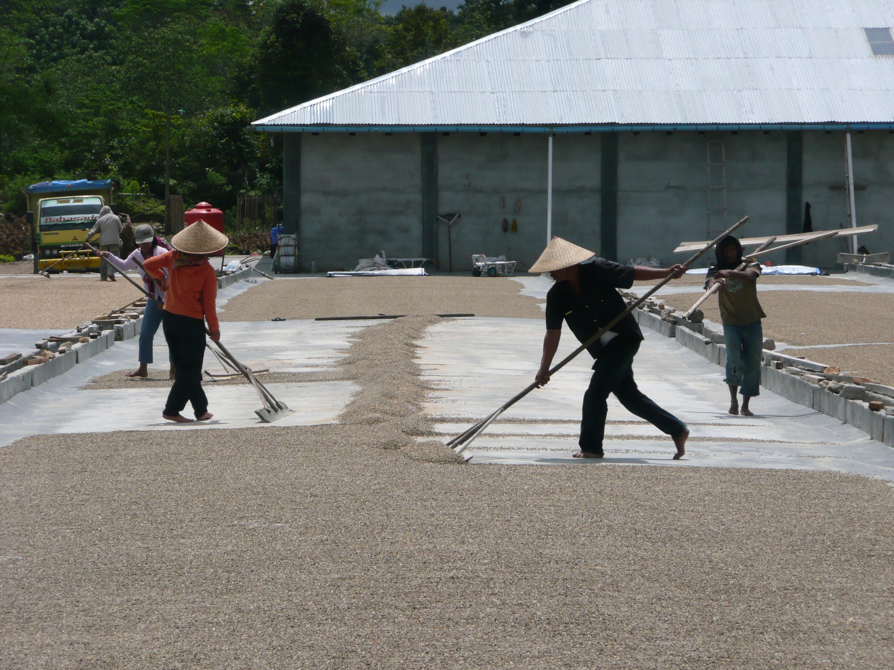 インドネシア　オナンガンジャン　マンデリン　深煎り　天日乾燥