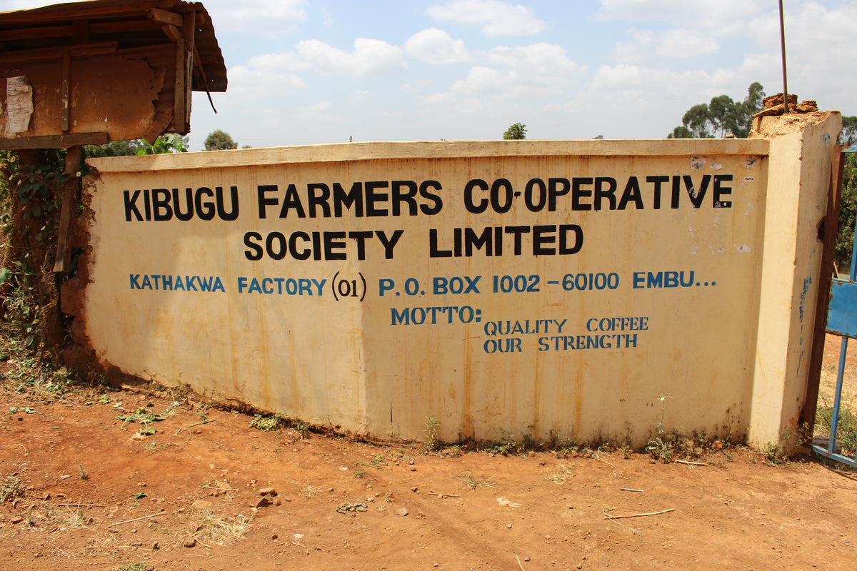 ケニア　エンブ　カサクワ・ファクトリー